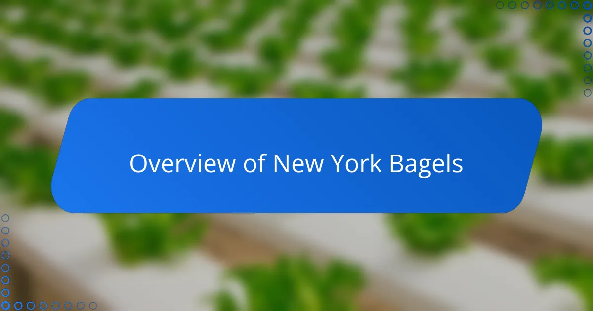 Overview of New York Bagels