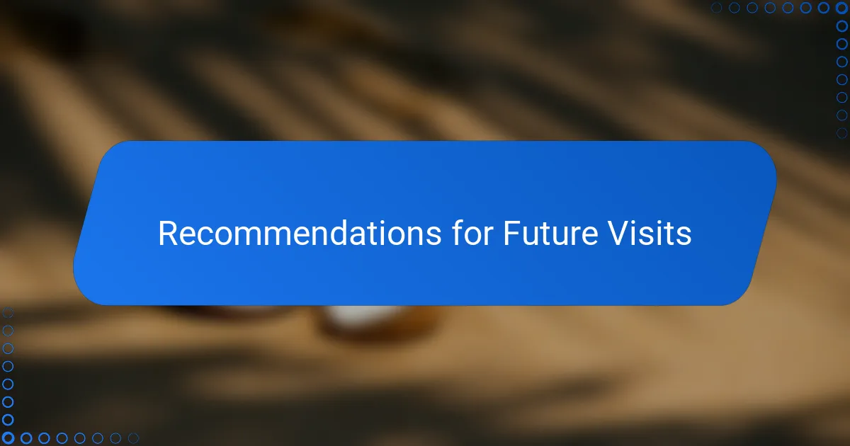 Recommendations for Future Visits